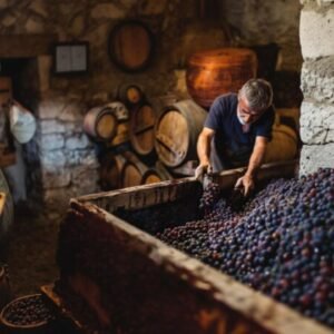 wine-making